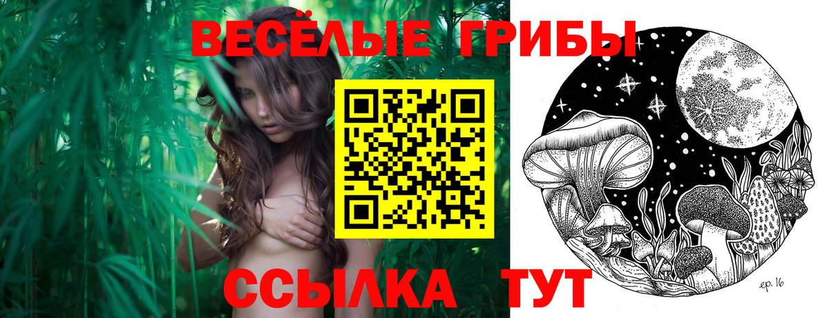 Галлюциногенные грибы мухоморы  Вход с VPN  Ачхой-Мартан 